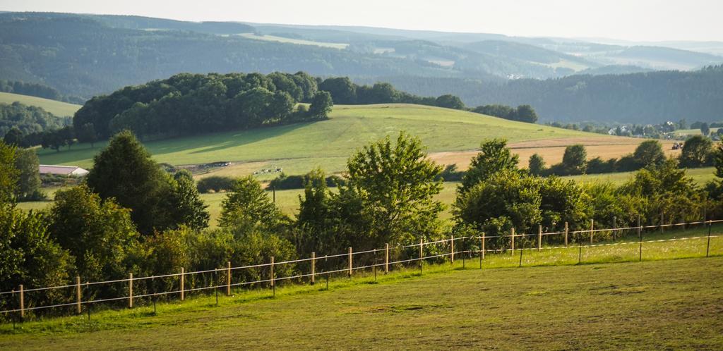 Landgasthof Dittersdorfer Hoehe Amtsberg Εξωτερικό φωτογραφία